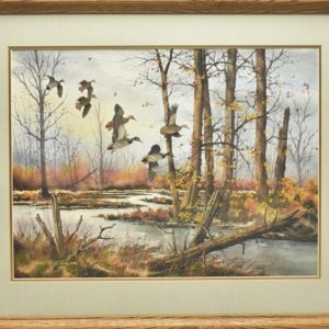 Mallards in Timber - David Hagerbaumer