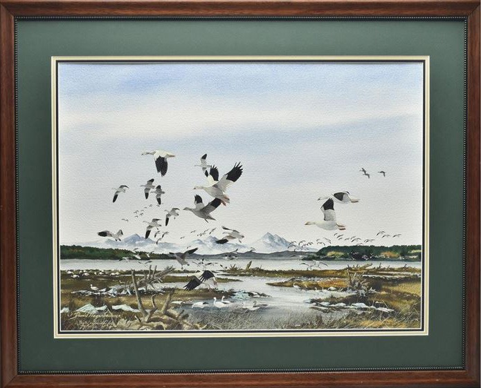 Snow Geese in Tidal Flats - David Hagerbaumer