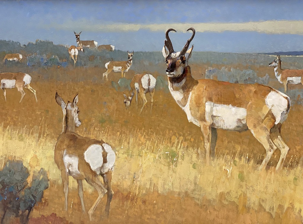 Where the Deer and the Antelope Play - Bob Kuhn
