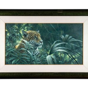 Symbol of the Rainforest - Robert Bateman