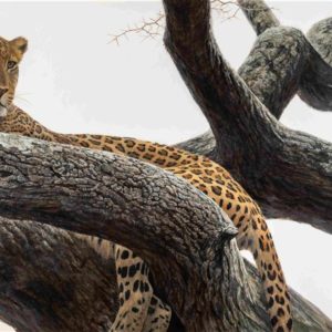 Leopard at Seronera - Robert Bateman