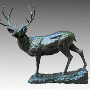 Mule Deer - Mike Barlow