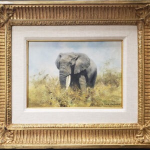 African Elephant - David Shepherd