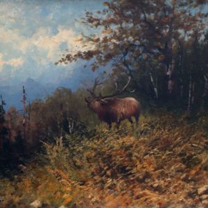 Bugling Elk - John Fery