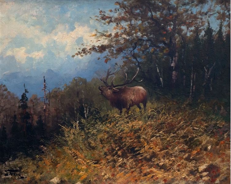 Bugling Elk - John Fery