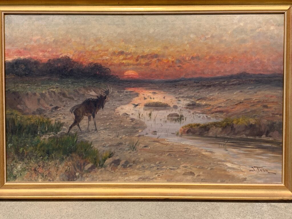 Moose at Sunset - John Fery