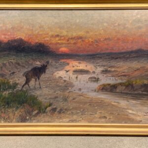 Moose at Sunset - John Fery