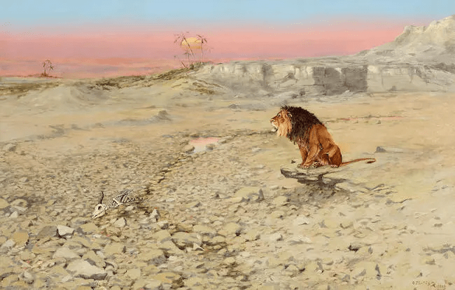 An African Lion in Desert - OC Seltzer