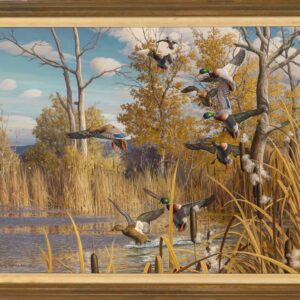 Mallards Landing in the Cattails - Harry Adamson