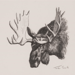 Moose Head - Tucker Smith