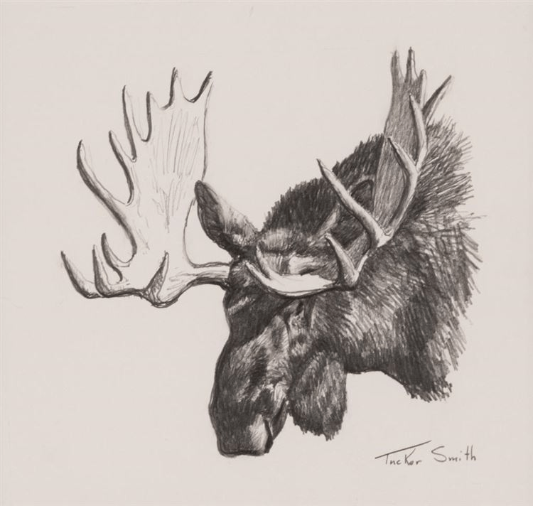 Moose Head - Tucker Smith