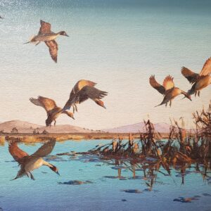 Pintails at Dusk - Richard Evett Bishop