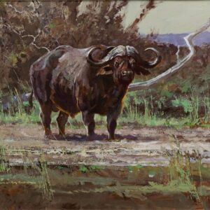 Cape Buffalo - Dennis Anderson