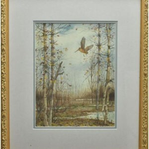 Woodcock in Flight - David Hagerbaumer