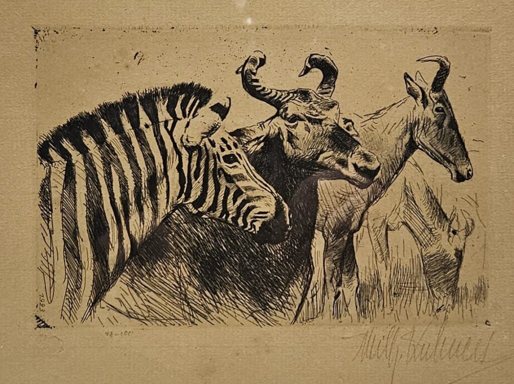 Antelope & Zebra - Friedrich Kuhnert