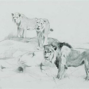 Lions on The Rock - Friedrich Wilhelm (“Lion”) Kuhnert