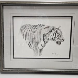 Bengal Tiger - Simon Combes