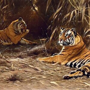 In the Jungle - Tigers - Friedrich Wilhelm "Lion" Kuhnert