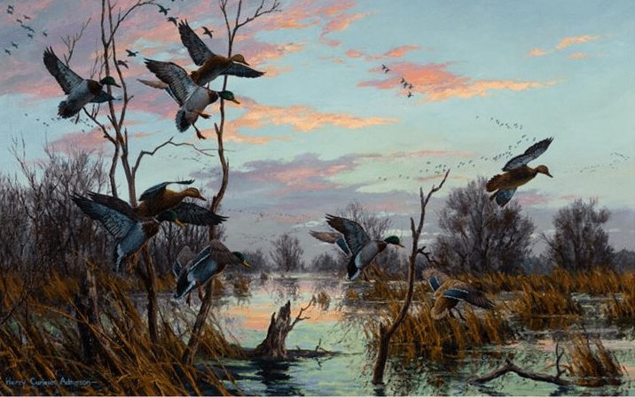 Mallards on the Marsh - Harry Adamson