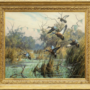 Teal - Harry Adamson