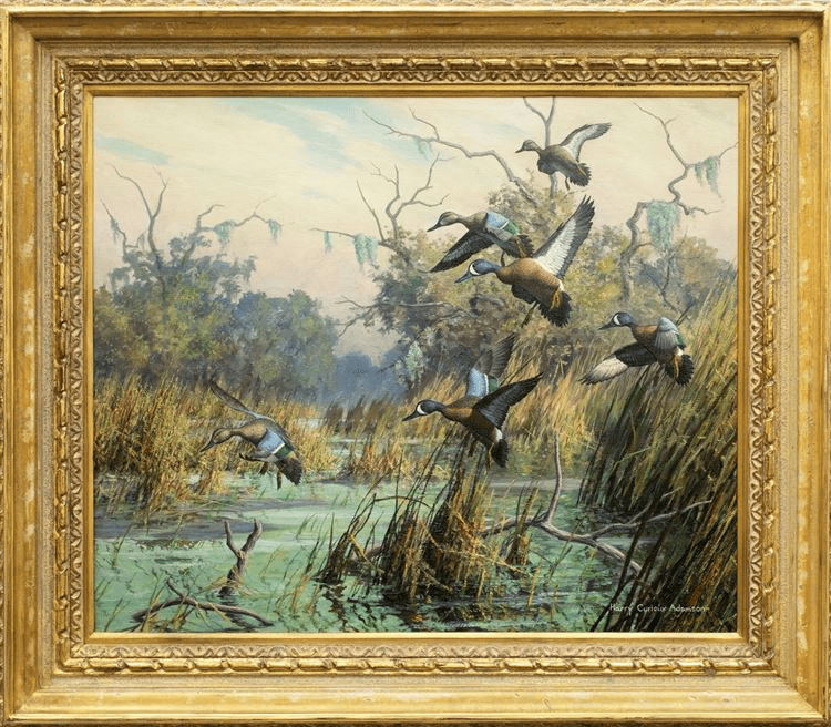 Teal - Harry Adamson