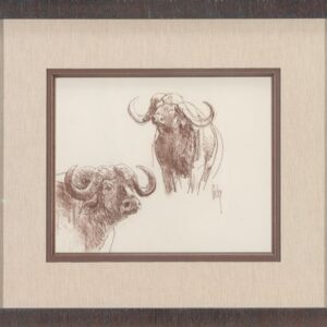 Cape Buffalo - Bob Kuhn