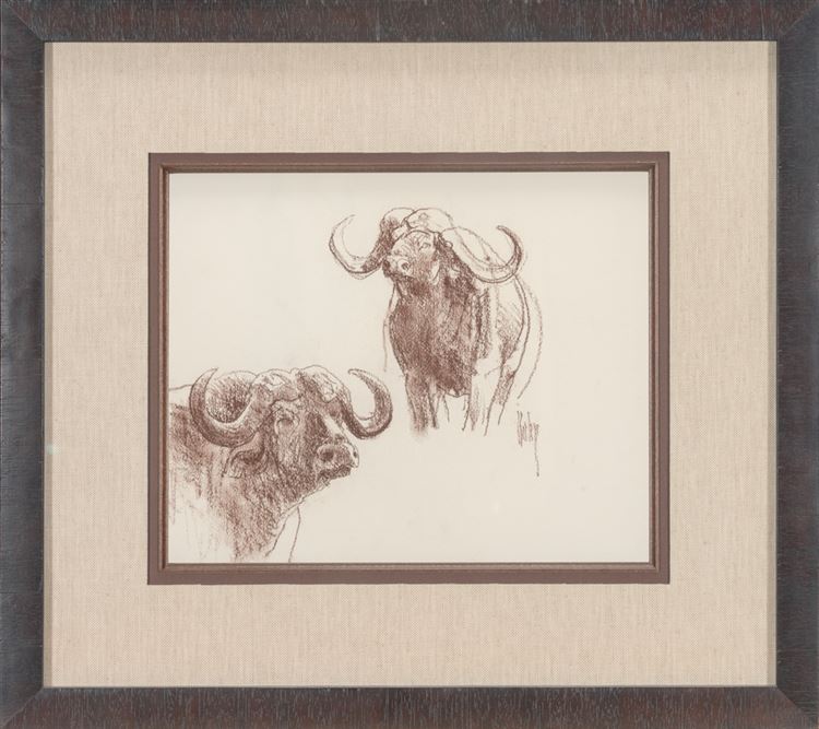 Cape Buffalo - Bob Kuhn