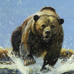 Grizzly Illustration - Bob Kuhn