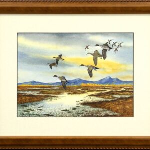 Pintails Taking Off From a Marsh - David Hagenbaumer