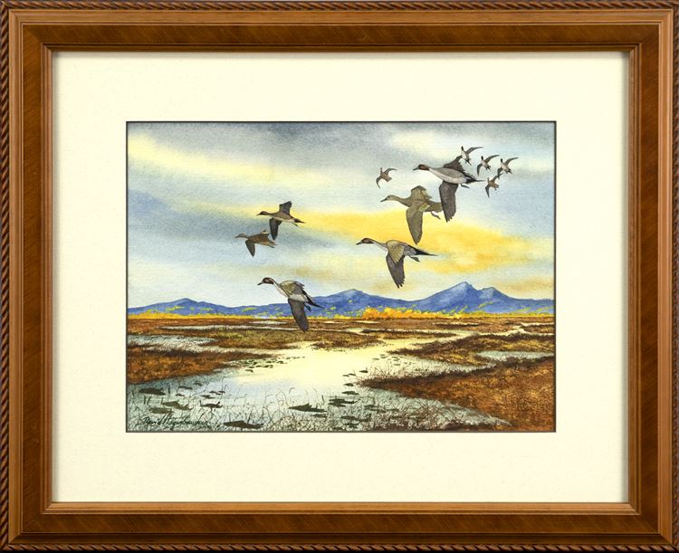 Pintails Taking Off From a Marsh - David Hagenbaumer