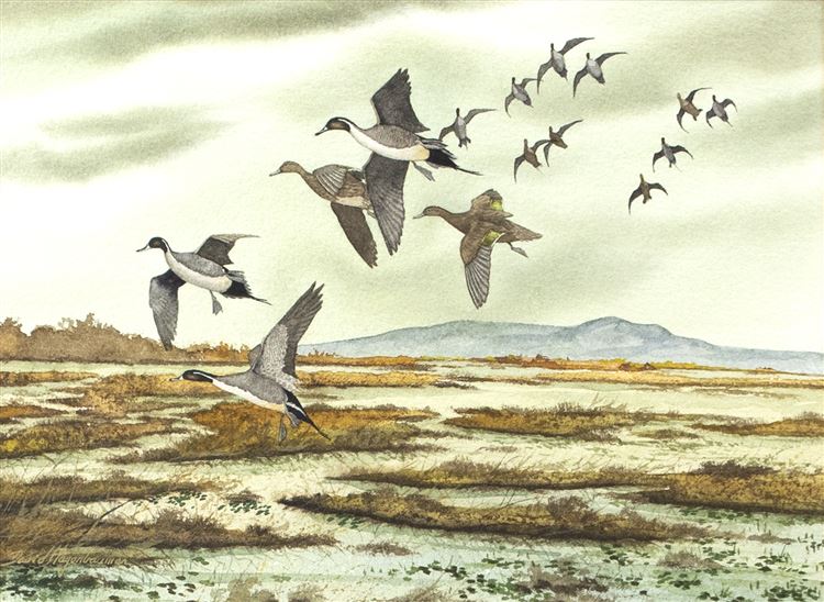 Short Grass Marsh - David Hagerbaumer