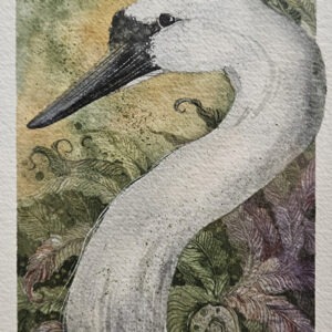 Swan - Beki Killorin