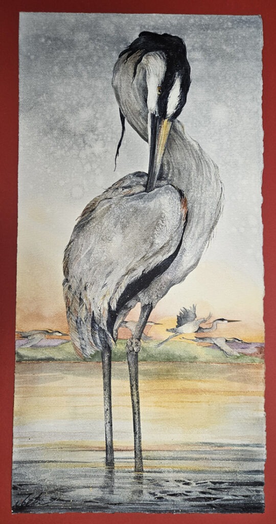 Twilight Night - Beki Killorin