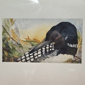 Autumn Loon - Beki Killorin