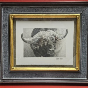 Old Bull - Lindsay Scott