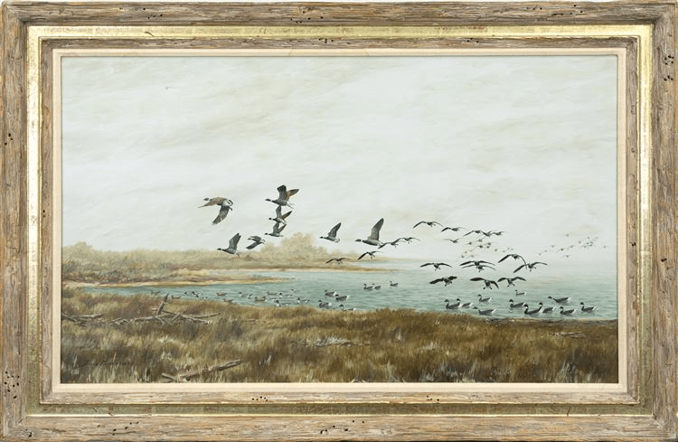 Hog Ranch Point - Black Brant - David Hagerbaumer